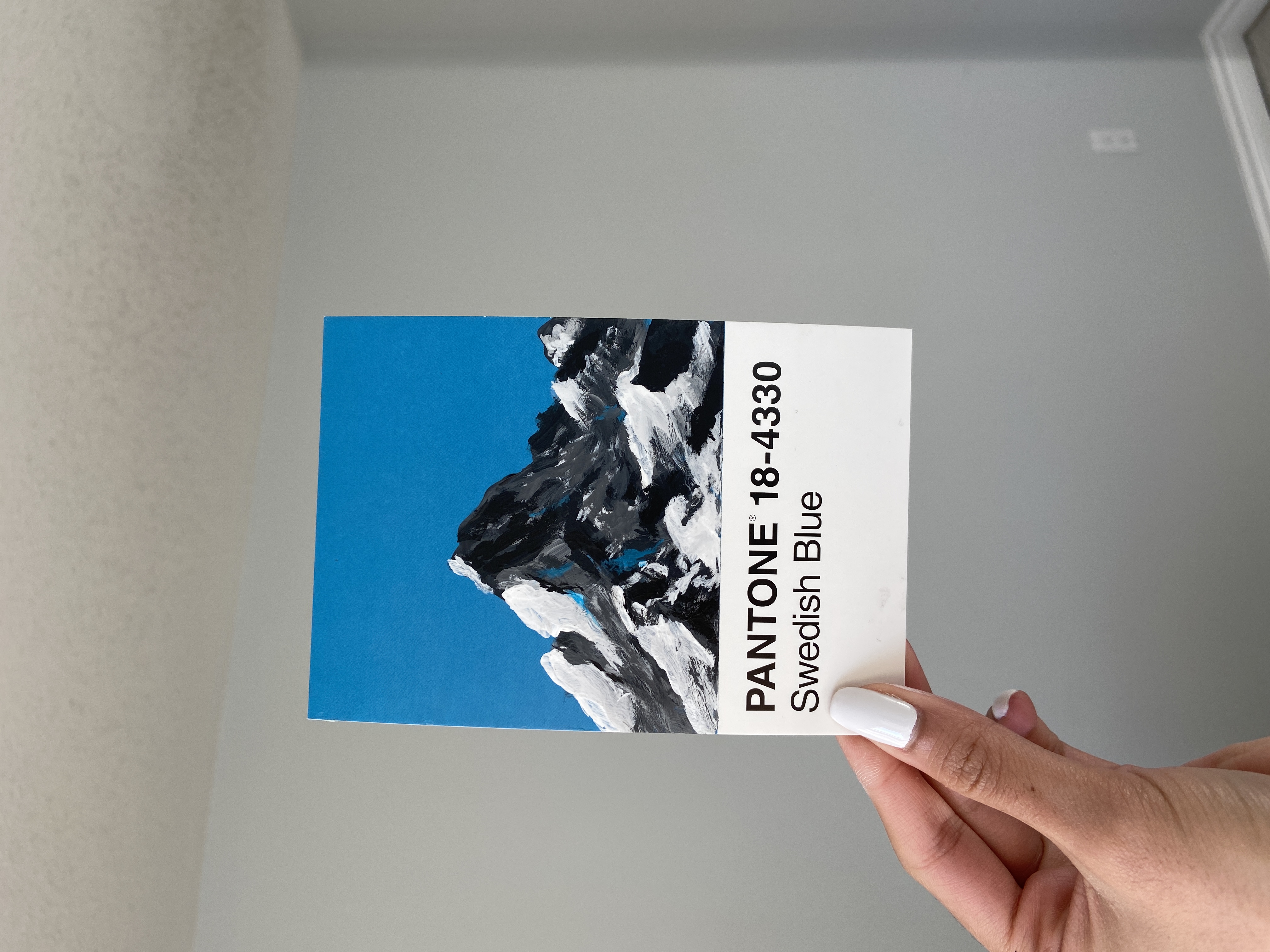 pantone 18-4330.jpg